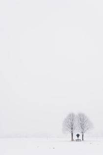 Roadside shrine in Bavaria, South Germany. von Tom Hanslien