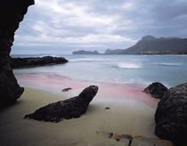 Monk seal von George Grigoriou