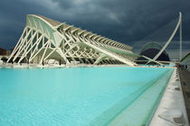 Valencia, Ciudad de las Artes y las Ciencias von Frank Rother