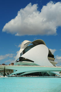 Valencia, Palau de les Arts Reina Sofía by Frank Rother