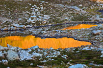 Golden Mountain Tarn von Lee Rentz