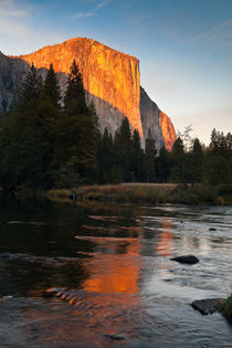 El Capitan at Sunset by Lee Rentz