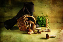 Boots and mushrooms von Stanislav Aristov