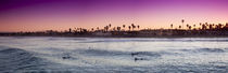 Ocean beach surfers by Sean Davey