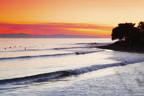 Rincon Point - evening twilight. von Sean Davey