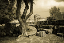 Fragments of the Temple of Zeus by Erik Schmitt