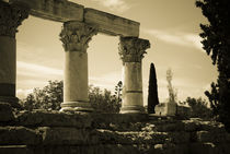 Columns and Cypress tree