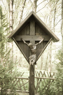 Jesus im Wald II von Thomas Schaefer