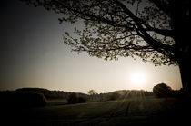 Morgenstimmung am Vogelsberg VI by Thomas Schaefer