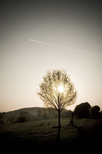 Morgenstimmung am Vogelsberg XIII by Thomas Schaefer