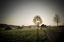 Morgenstimmung am Vogelsberg XIV by Thomas Schaefer