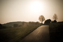 Morgenstimmung am Vogelsberg XVI by Thomas Schaefer