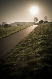 Morgenstimmung am Vogelsberg XV von Thomas Schaefer