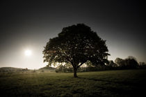 Morgenstimmung am Vogelsberg V by Thomas Schaefer