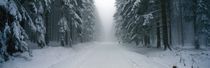 Waldweg im Winter 4 by Intensivelight Panorama-Edition