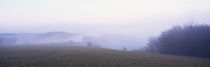 Nebel steigen auf by Intensivelight Panorama-Edition