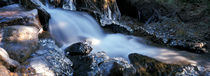 Erster Frost am Wildbach 3 von Intensivelight Panorama-Edition