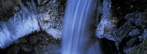 Erster Frost am Wildbach 2 von Intensivelight Panorama-Edition