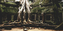 jungle temple by emanuele molinari