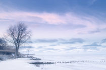 Winter Blues by Richard Susanto