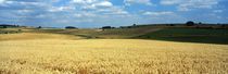 Sommerfeld by Intensivelight Panorama-Edition