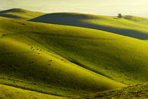 Rolling Hills von Richard Susanto