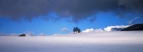 Blau-weisse Winterlandschaft von Intensivelight Panorama-Edition