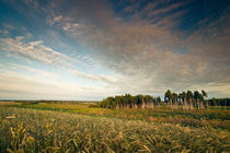 Russian field von Alex Gvozditskiy