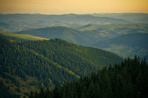 Carpathian Mountains von Alex Gvozditskiy