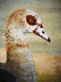 Strange Goose #2 von Eye in Hand Gallery