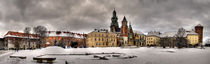 The Castle Panorama von p. paralaxa