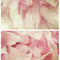 Spring-rosespalestpink-c-sybillesterk