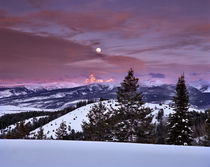 Pine Creek Pass by Leland Howard