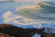 Swell, Manly Beach von Cameron Booth