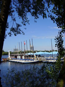 Kleinod von minnewater