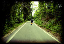 riding a vespa through Bologna's hills  by Federico C.