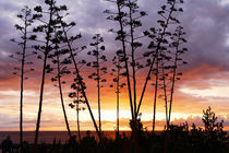 Sunset on a Stormy Night, Newport Beach, California von Eye in Hand Gallery