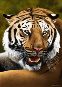 Tiger von Fernando Ferreiro