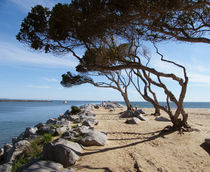 California Coast von Eye in Hand Gallery