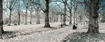 London, Green Park in Autumn