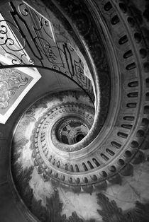 the winding staircase von dayle ann  clavin