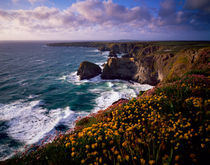 Carnewas and Bedruthan Steps, Cornwall, England. by Craig Joiner
