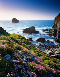 Backways Cove, Cornwall, England. by Craig Joiner