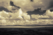 Mountain Zebra National Park, South Africa by Eva Stadler