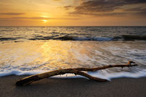 Beach Sunset by Craig Joiner