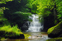 Woodland Waterfall von Craig Joiner