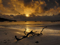 Sunset at Instow Beach, Devon, England. von Craig Joiner