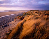 Sand Dunes at Westward Ho!, Devon, England. by Craig Joiner