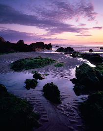 Coombesgate Beach, Devon, England. by Craig Joiner