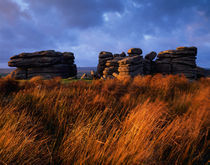 Combestone Tor, Dartmoor von Craig Joiner